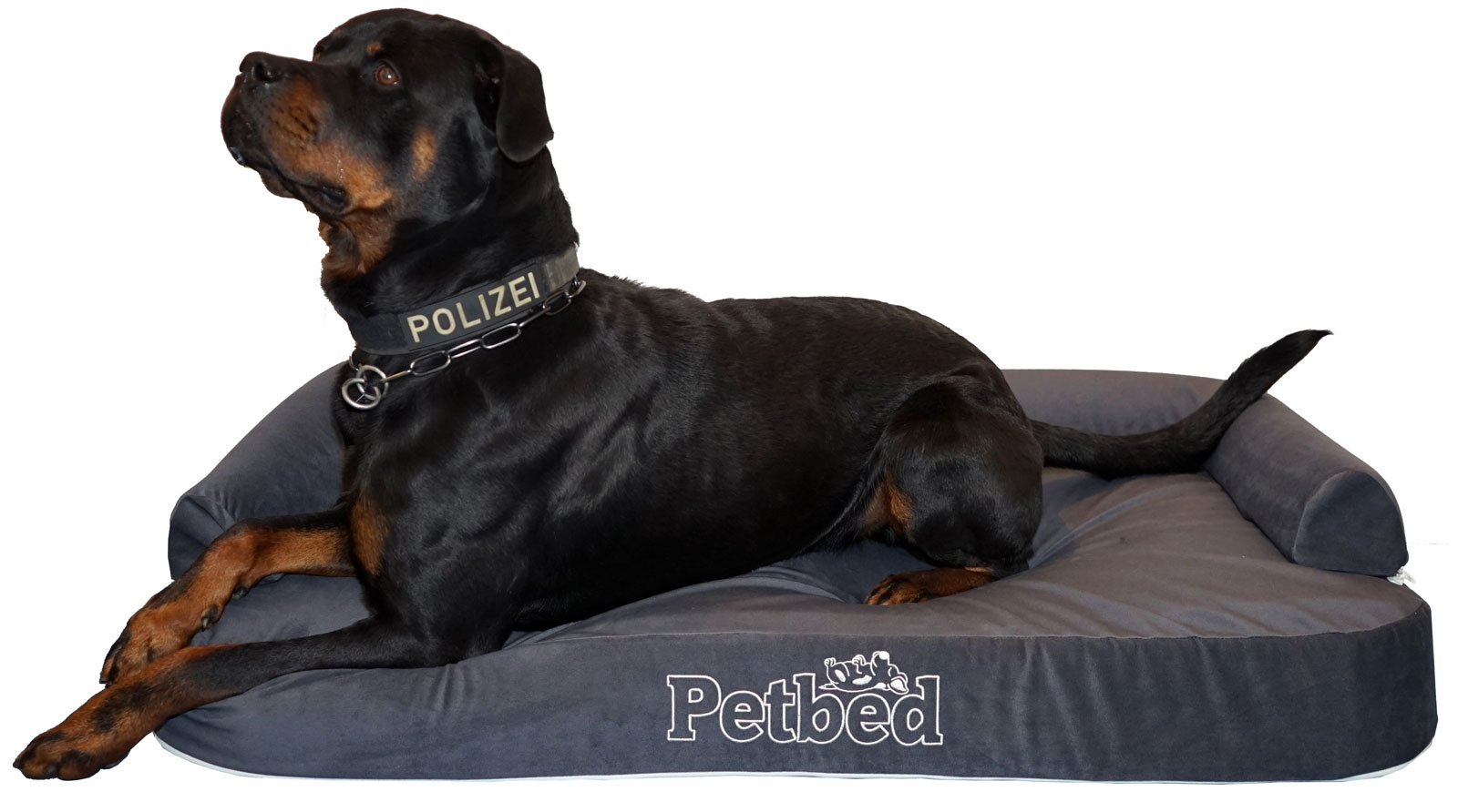 Hundewasserbett mit Rottweiler