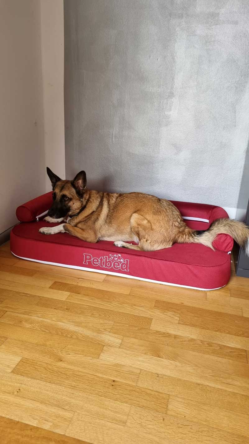 Wasserbett für Hunde in rot